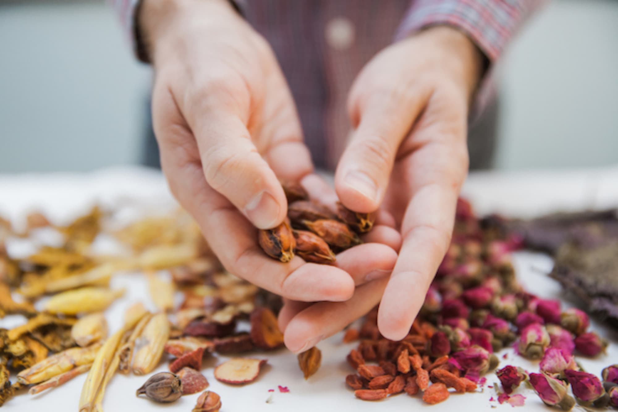 Hands sorting dried Chinese herbs, goji berries, and rose buds on a table